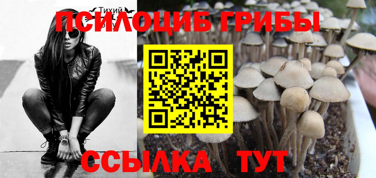 Галлюциногенные грибы Psilocybine cubensis  Вход с VPN  Златоуст 