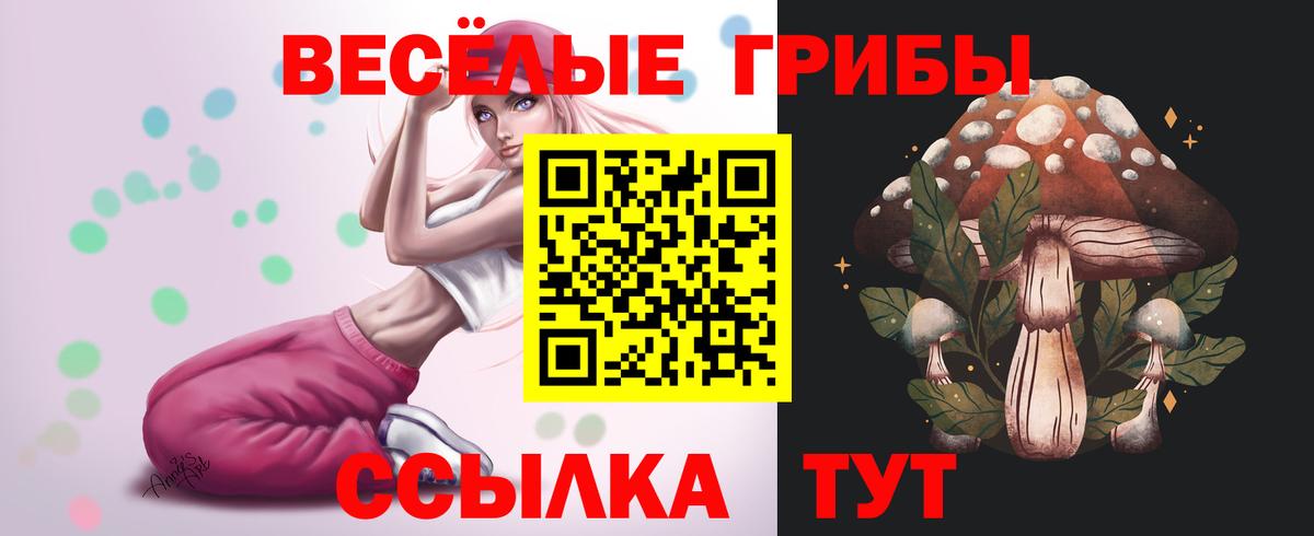 Галлюциногенные грибы Psilocybe Златоуст